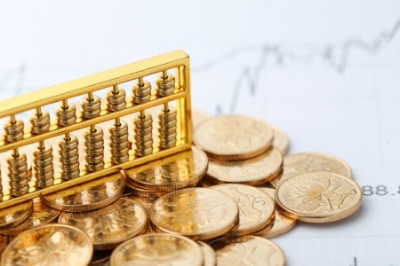 Gold Loan